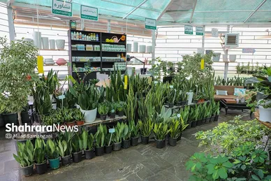 بهره برداری از مرکز مشاوره و امداد گل و گیاه در پارک نیلوفر آبی