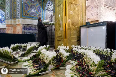 تعویض پرچم گنبد و پوش ضریح مطهر حرم رضوی همزمان با سوم ربیع الاول
