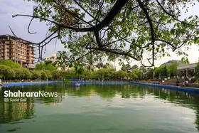 پیش&zwnj;بینی هواشناسی مشهد و خراسان رضوی امروز (دوشنبه، ۵ خرداد ۱۴۰۴) | ماندگاری هوای نسبتاً خنک تا پایان هفته