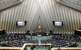 واکنش ۲ نماینده مجلس به صحبت&zwnj;های نماینده تربت&zwnj;جام| برخی برای رأی&zwnj;آوری تبلیغ نکنند؛ شأن مجلس رعایت شود