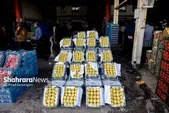تیم‌های نظارت جهاد کشاورزی بر عمده‌فروشان و کارخانجات نظارت می‌کنند