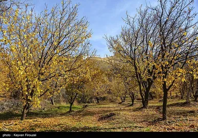 ایران زیباست | پاییز رنگارنگ کردستان