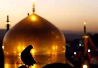 افتتاح رواق نوجوان در حرم مطهر امام رضا (ع) در سال ۱۴۰۵