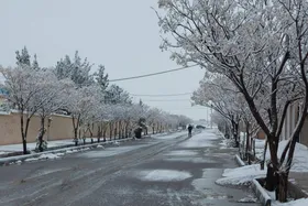 ویدئو| بارش برف پس از ۷۲۳ روز در زاهدان