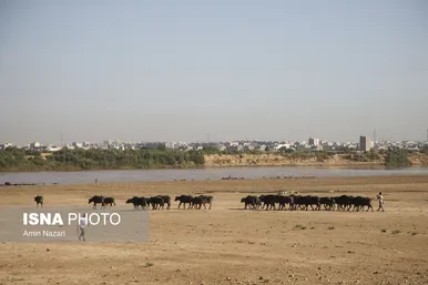 منطقه گاومیش آباد در اهواز