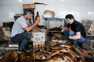 عکس‌هایی از مراحل دودی کردن ماهی