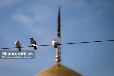 گزارش تصویری | لحظه تحویل سال در حرم مطهر امام رضا (ع)