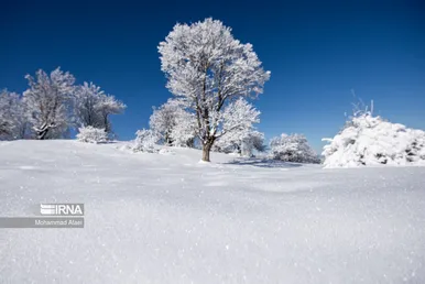 ایران زیباست | گلستان برفی