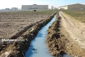 جولان آلودگی در انتهای گلشهر مشهد | رانندگان، فاضلاب شهری را بدون نگرانی از نظارت‌ها در مزارع اطراف شهر تخلیه می‌کنند