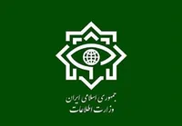 بیانیه وزارت اطلاعات درپی تروریستی اعلام‌شدن سپاه پاسداران