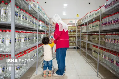 گزارش تصویری | برداشت گل محمدی و تهیه گلاب به یاد دانش‌آموزان شهید میناب - میمند