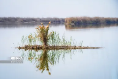 ایران زیباست | تالاب هورالعظیم