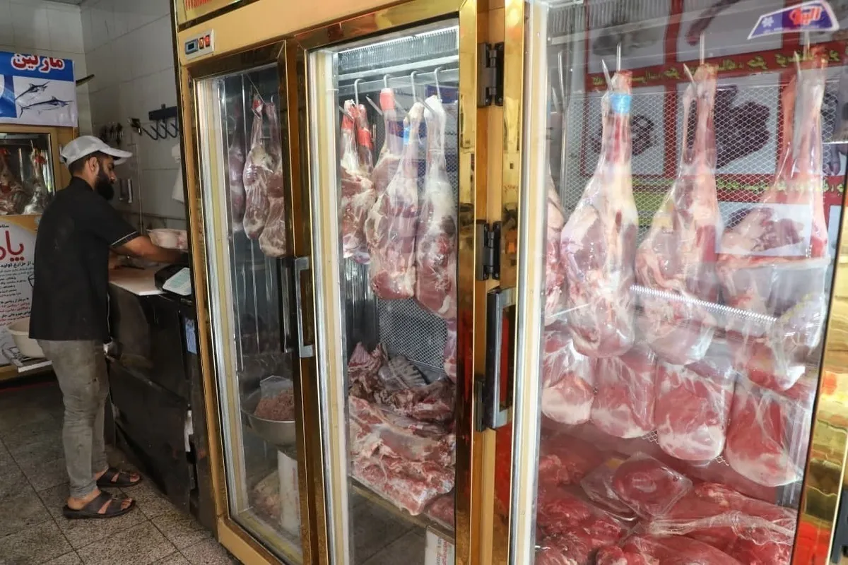 قیمت امروز گوشت، مرغ و تخم مرغ در مشهد (۱۱ شهریور ۱۴۰۵) | افزایش قیمت گوشت گوسفندی