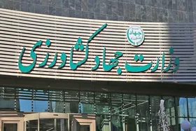 توضیحات وزارت جهاد کشاورزی درباره تخلف و فساد در واردات چای