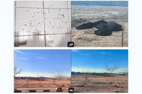جمع‌آوری نخاله‌ها در منطقه ۵ شهرداری مشهد