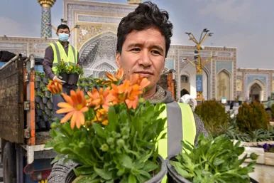 گل‌آرایی حرم مطهر رضوی در آستانه عید نوروز