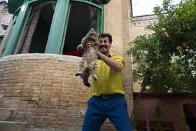 &laquo;سال گربه&raquo; با بازی بهرام افشاری اکران می&zwnj;شود