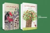معرفی دو کتاب کودک | «جوجه‌تیغی و درخت سیب» و «لالایی‌های خانم کلاغه»