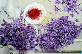 زعفران هر روز از مسیرهای غیرقانونی قاچاق می&zwnj;شود
