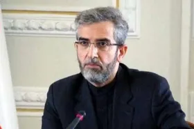 باقری: اعضای &laquo;دی ۸&raquo; اعتقادی به مسامحه در برابر رژیم صهیونیستی ندارند