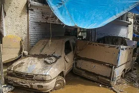 ویدئو | تصاویر تکان&zwnj;دهنده بیرون کشیدن پژو ۲۰۶ و کشف جسد راننده زن در تالاب چغاخور