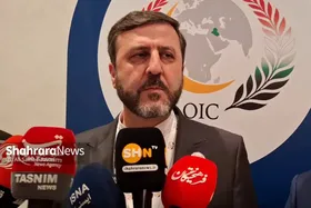 غریب‌آبادی: قطعنامه محکومیت حمله به ایران در اجلاس سازمان همکاری اسلامی دوباره تصویب می‌شود + فیلم