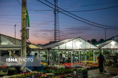 بازار گل محلاتی تهران در آستانه سال نو