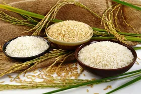 برنج&zwnj;کاران دیگر تمایلی به فروش محصول با هر قیمتی ندارند