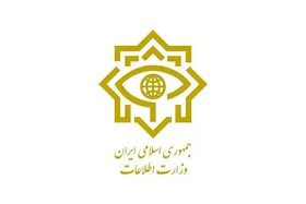وزارت اطلاعات از دستگیری سوداگران رمز ارز خبرداد