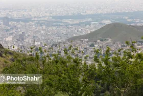 جزئیات ثبت اطلاعات در سامانه املاک | از ۱۹ فروردین ثبت مالکیت الزامی می&zwnj;شود