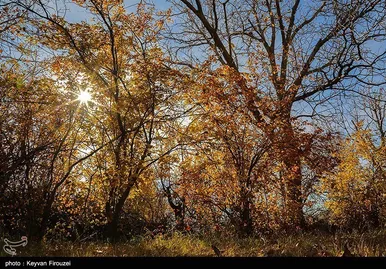 ایران زیباست | پاییز رنگارنگ کردستان