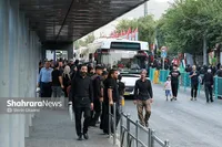 خدمت‌رسانی رایگان اتوبوسرانی مشهد به بیش از ۲۴۷ هزار زائر پیاده امام رضا (ع)