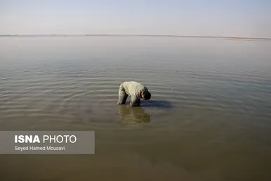 نگهبانان تالاب هورالعظیم