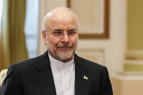 رئیس مجلس شورای اسلامی: از تصمیم دولت برای واگذاری اختیارات به استان&zwnj;ها حمایت می&zwnj;کنم
