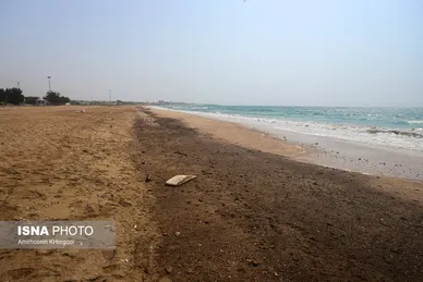 گزارش تصویری | آلودگی نفتی در سواحل قشم و هنگام