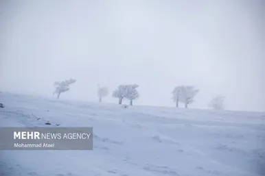برف در رامیان