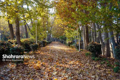 طبیعت پاییزی بوستان های مشهد