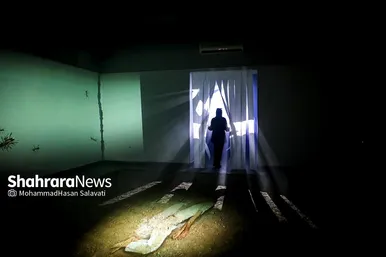 نمایشگاه ویدئوآرت «از دست دادن»