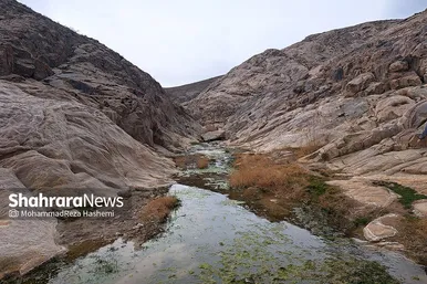 «گشتی نیم‌روزه» در پارک طبیعی «هفت‌حوض» مشهد
