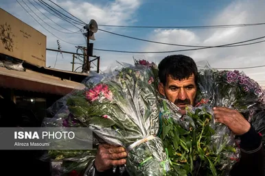 بازار گل محلاتی تهران در آستانه سال نو