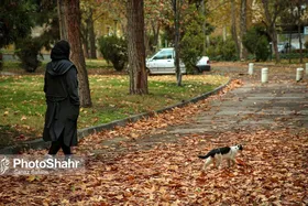 تاثیر مستقیم تغییرات فصلی بر خلق&zwnj;وخو