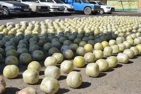 بزرگ&zwnj;ترین مافیای قاچاق بین&zwnj;المللی مواد مخدر در دام وزارت اطلاعات