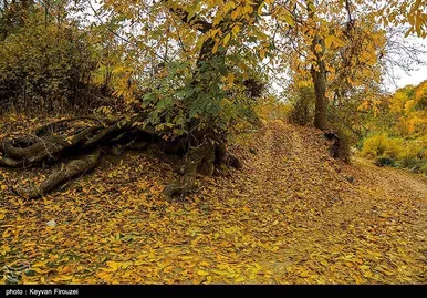 ایران زیباست | پاییز رنگارنگ کردستان