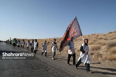 زائران پیاده حرم امام رضا (ع)