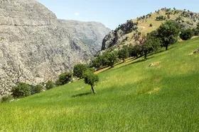با توجه به هشدار هواشناسی؛ مناطق تفرجگاهی تحت مدیریت حفاظت محیط زیست خراسان رضوی تعطیل است