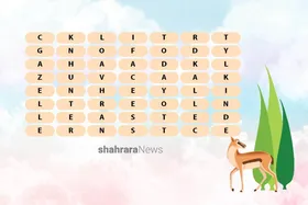 جدول کلمات انگلیسی | ضامن آهو