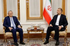 تاکید امیرعبداللهیان بر گسترش همکاری&zwnj;ها با سازمان شانگهای