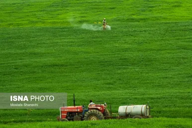 ایران زیباست | طبیعت بهاری روستاهای اطراف ساری