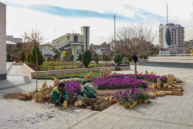 کاروان‌های گل دوچرخه‌سوار منتظران بهار