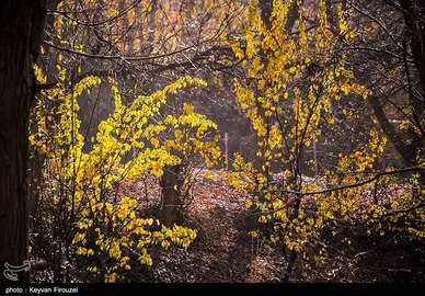 ایران زیباست | پاییز رنگارنگ کردستان